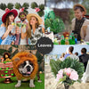 A collage featuring people with tropical themes, a lion, and artificial palm leaves for party decor.