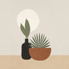 A potted succulent plant with large green leaves sits in a dark vase on a light background.