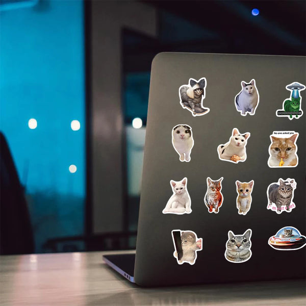 A laptop displaying various funny cat meme stickers for cups and devices.