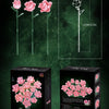 A product information sheet showing a pink rose bouquet and a detailed illustration of the flower.