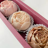 A set of realistic pink and beige rose silicone molds for candle, soap, and crafting are displayed in a pink box.