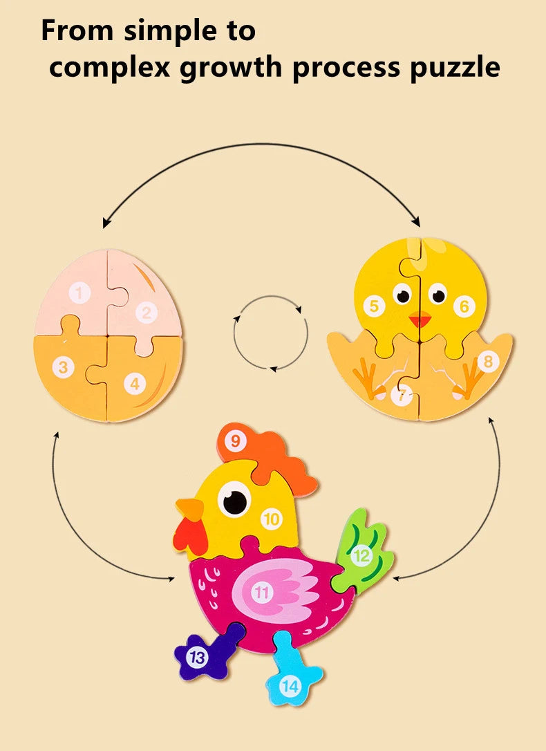 A set of wooden puzzles showing a growth process, from simple shapes to complex forms.