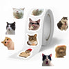 A roll of funny cat meme stickers featuring various cats with different expressions and themes.