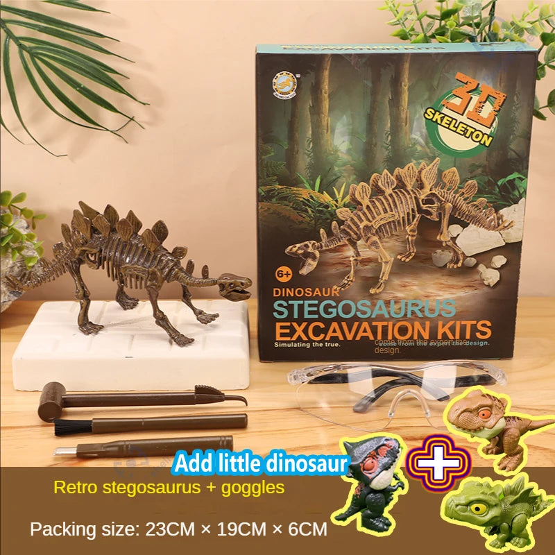 A box of dinosaur skeleton excavation kits showing a reconstructed Stegosaurus fossil and goggles.
