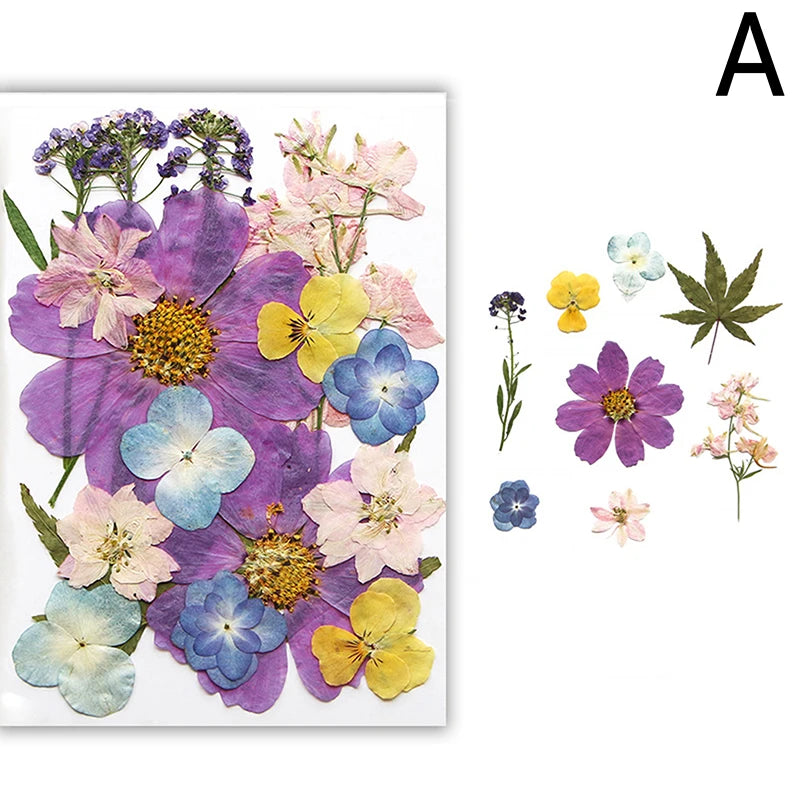 A collection of pressed natural dried flowers in various shades of purple, pink, yellow, and blue for crafting.