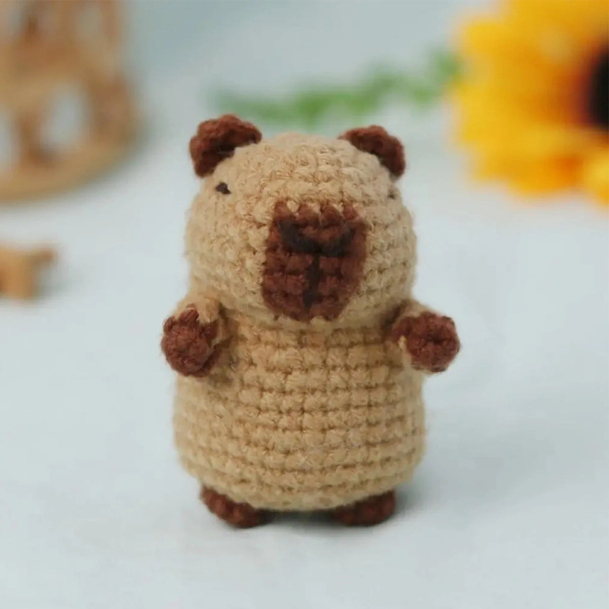 Capybara Crochet Kit for Beginners
