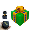 Annoying Present Prank Box with Pop-Up Middle Finger