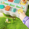 Montessori Pop-Up Animal Toy & Learning Box Set
