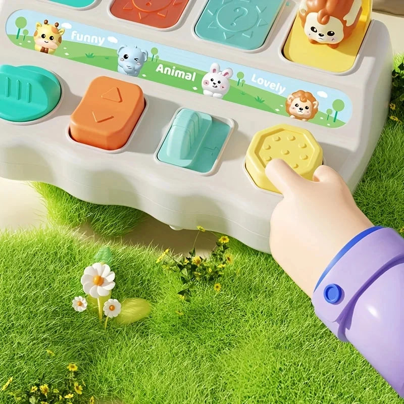 Montessori Pop-Up Animal Toy & Learning Box Set
