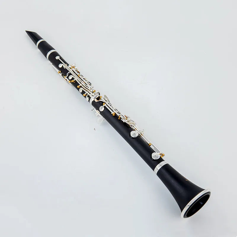 Professional Bb Clarinet with Case