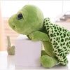 A soft green turtle plush toy sitting on a white block in a bright indoor setting.