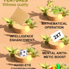 A colorful puzzle board game featuring wooden pieces and cards designed for mathematical operation and child interaction.