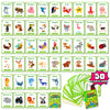 Animal Cognition Flash Cards for Early Learning
