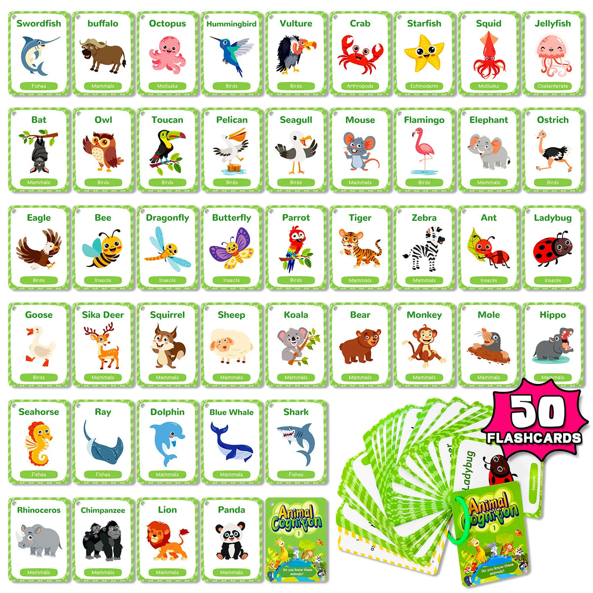 Animal Cognition Flash Cards for Early Learning