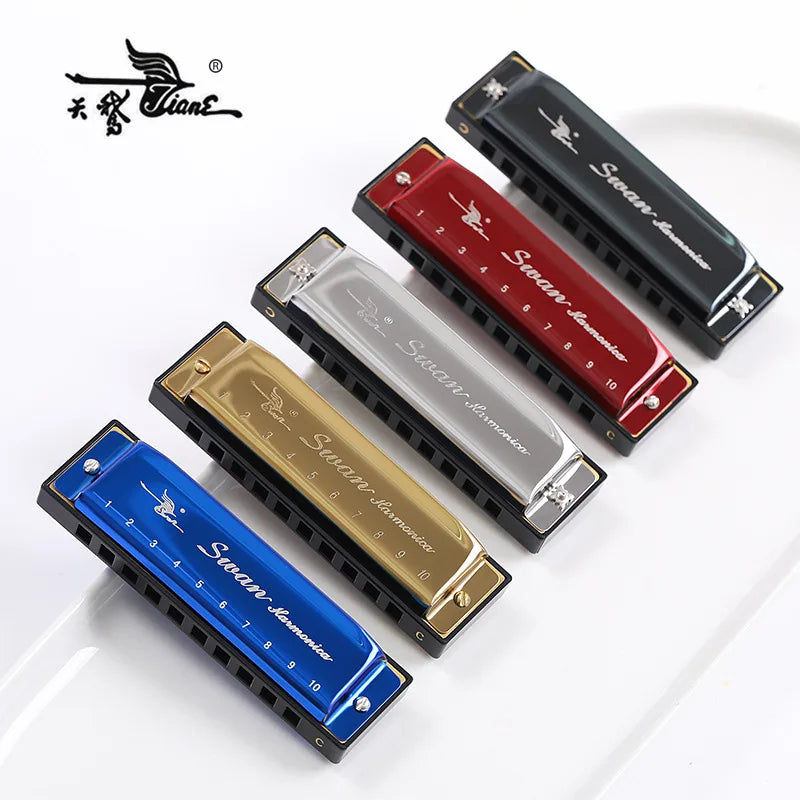 10-Hole C Diatonic Harmonica with Carrying Case