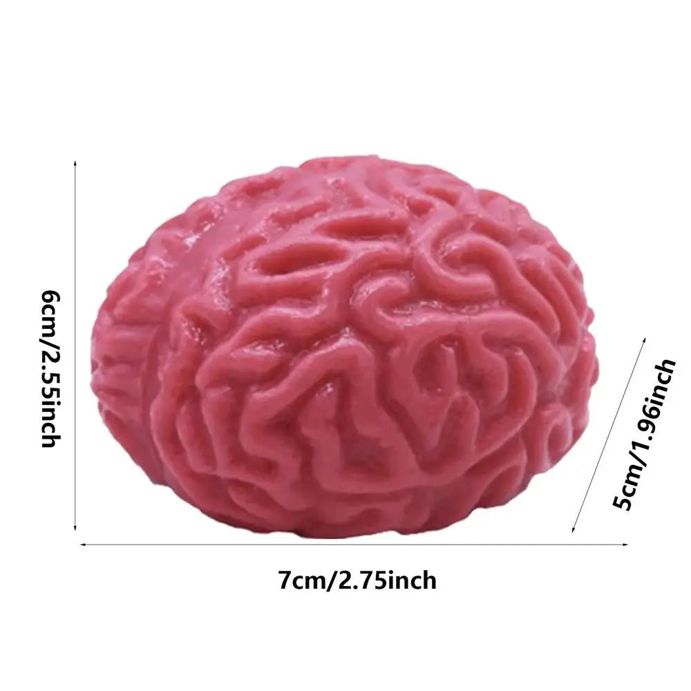 Pink brain-shaped stress relief ball with dimensions 6cm/2.55inch high and 7cm/2.75inch wide