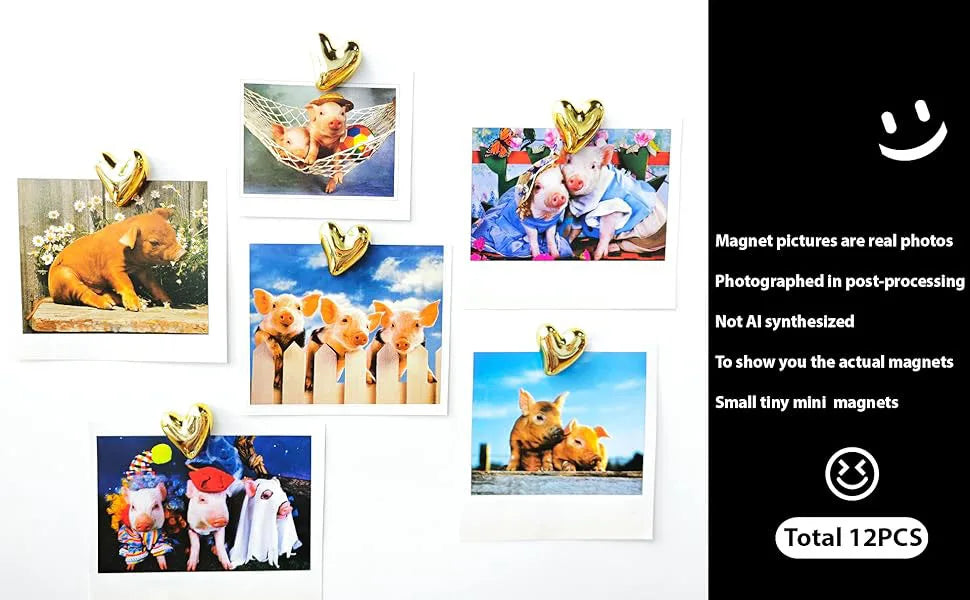 A collection of twelve heart-shaped fridge magnets featuring various animals and scenes.