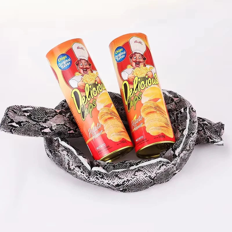 Surprise Prank Snake in a Potato Chip Can