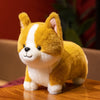 A fluffy orange and white Corgi plush toy sitting on a wooden surface.