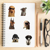A collection of six animal portraits featuring dogs and cats, suitable for stickers or decals.