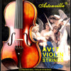 Professional Nickel-Silver Wound Violin String Set