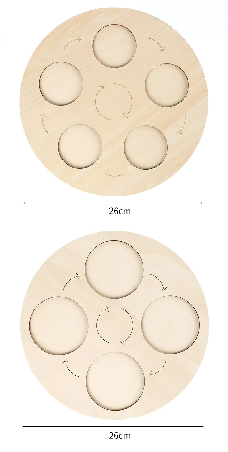Wooden Life Cycle Learning Board for Kids