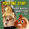 A hand holds a brown, squishy plush toy shaped like a funny poop with large eyes and a smile.