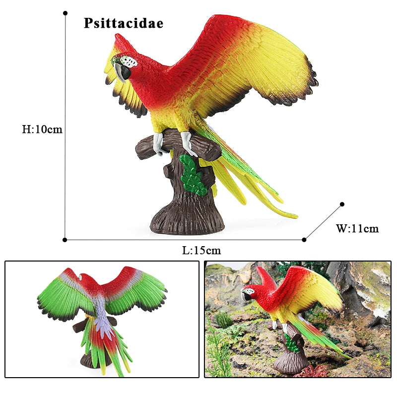Realistic Bird Figurine Set – Educational PVC Models for Kids and Collectors