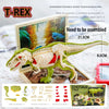 Assembled T-REX dinosaur model kit showing skeletal and visceral accessories on a display board