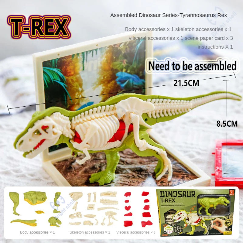 Assembled T-REX dinosaur model kit showing skeletal and visceral accessories on a display board
