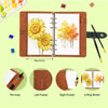A brown watercolor sketchbook with a lay-flat binding showing floral and autumn nature illustrations.