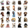 Kawaii Cat & Dog Meme Sticker Pack – Funny Decals for Laptops, Skateboards & Scrapbooks
