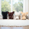 Four fluffy Chihuahua plush dolls in black, brown, white, and tan are displayed on a windowsill.