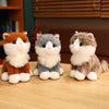 Three adorable sitting kitten plush dolls in orange, gray, and brown colors.