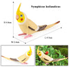 Realistic Bird Figurine Set – Educational PVC Models for Kids and Collectors