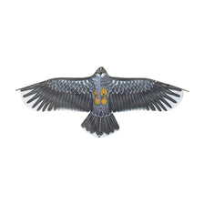 An eagle pattern kite with a 30m line, designed as an easy-fly outdoor toy for kids.