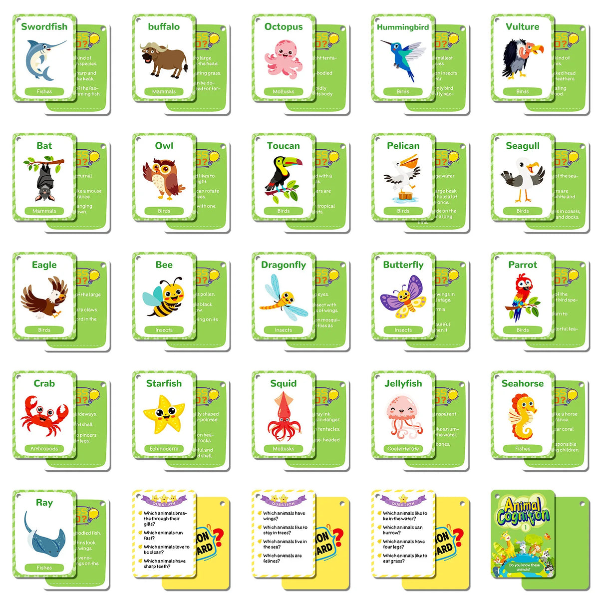 Animal Cognition Flash Cards for Early Learning
