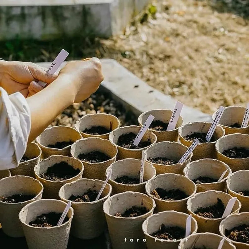 A hand is holding a biodegradable peat pot filled with soil, used for seed starting.