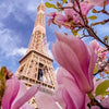 Close-up view of pink blossoms framing the Eiffel Tower against a blue sky.