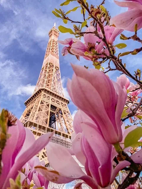 Close-up view of pink blossoms framing the Eiffel Tower against a blue sky.