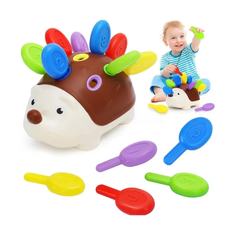 Buntes sensorisches Igelspielzeug mit verschiedenen Teilen, gespielt von einem lächelnden Kleinkind.