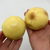 A hand holds a yellow, squishy potato stress ball with a small indentation.