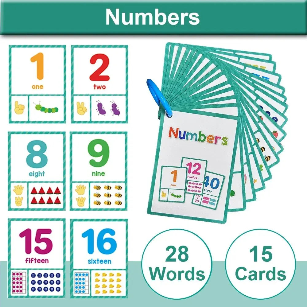 Montessori English Word Learning Cards for Kids