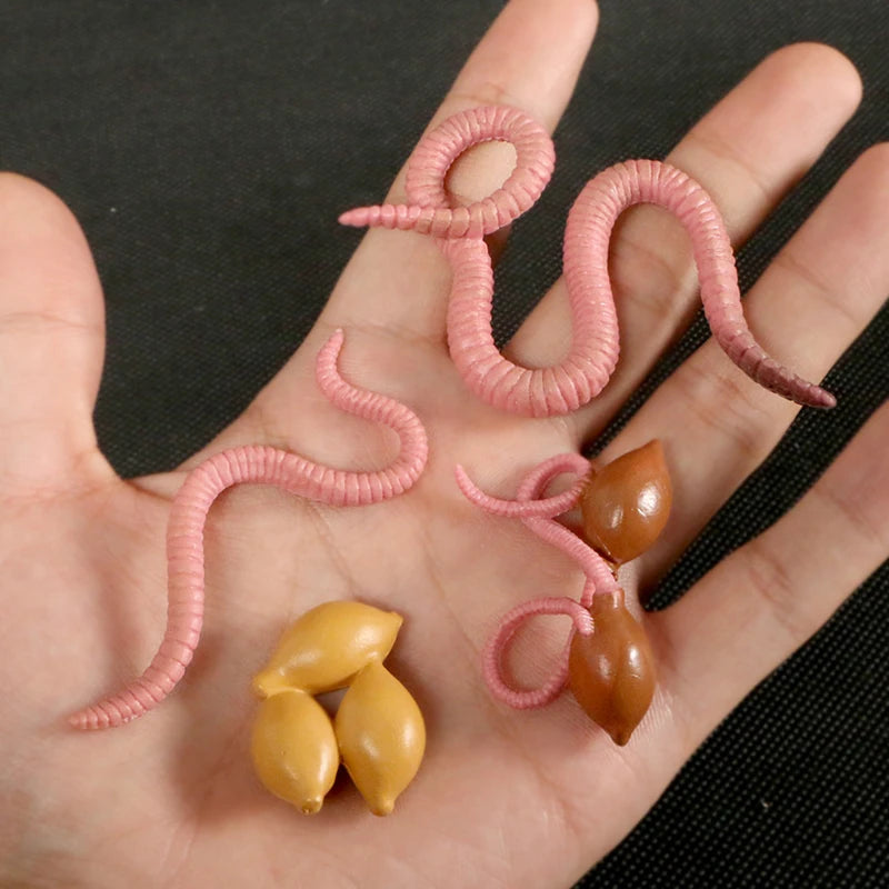 A set of pink and brown worm-like creatures used for animal and plant life cycle learning.