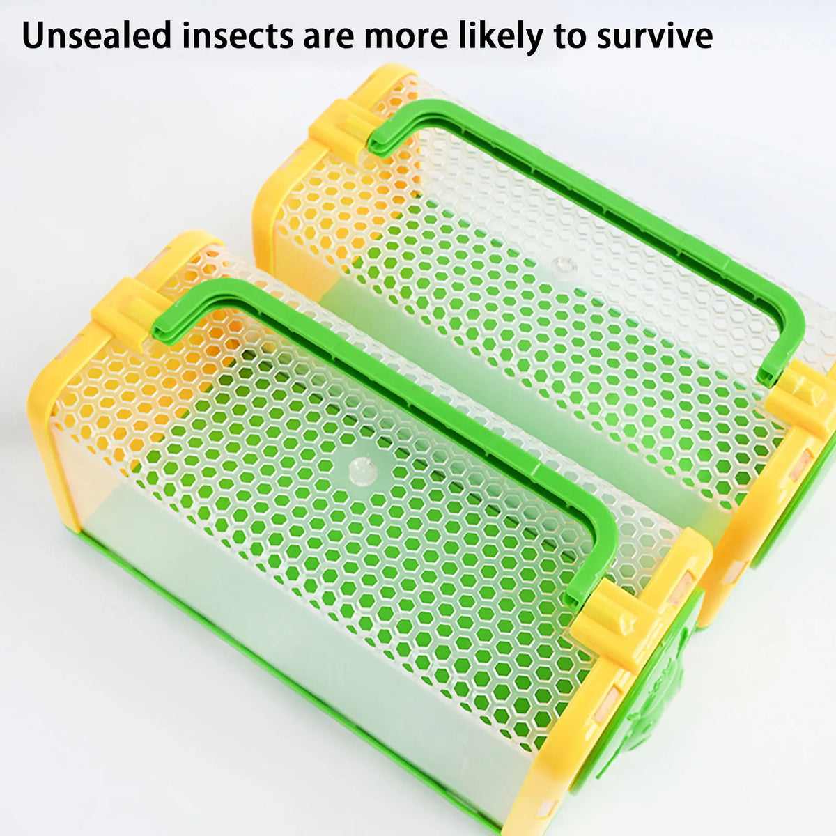 Kids' Insect Exploration Kit with Observation Box and Magnifier