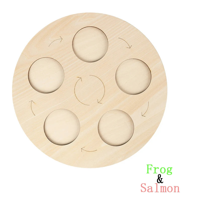 Wooden Life Cycle Learning Board for Kids