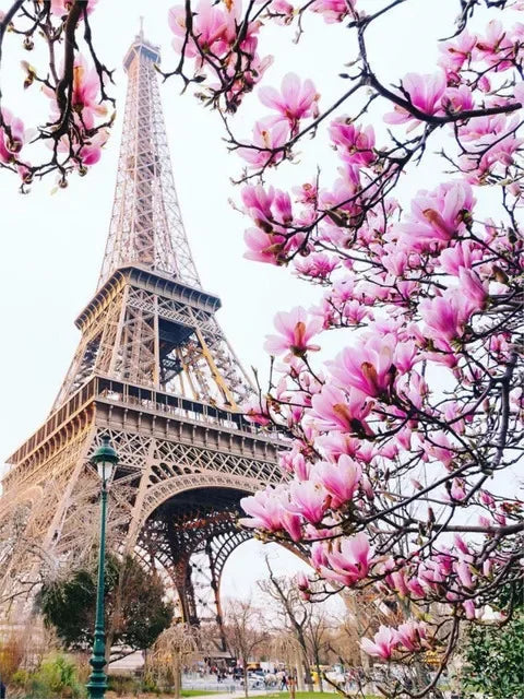Pink blossoms frame the Eiffel Tower in a close-up view for wall art