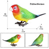 Realistic Bird Figurine Set – Educational PVC Models for Kids and Collectors
