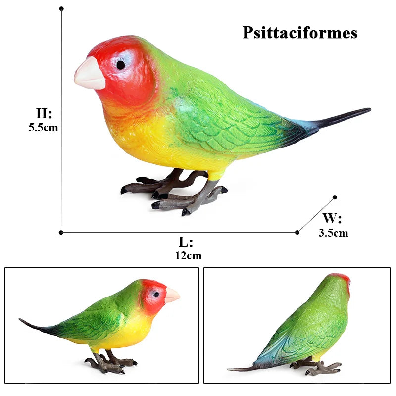 Realistic Bird Figurine Set – Educational PVC Models for Kids and Collectors