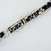 Professional Bb Clarinet with Case